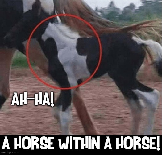 Within every colt beats the heart of a Triple Crown Winner |  _; AH  HA! A HORSE WITHIN A HORSE! | image tagged in vince vance,horses,memes,colts,black and white,birthmark | made w/ Imgflip meme maker