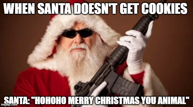 War on Christmas | WHEN SANTA DOESN'T GET COOKIES; SANTA: "HOHOHO MERRY CHRISTMAS YOU ANIMAL" | image tagged in war on christmas | made w/ Imgflip meme maker