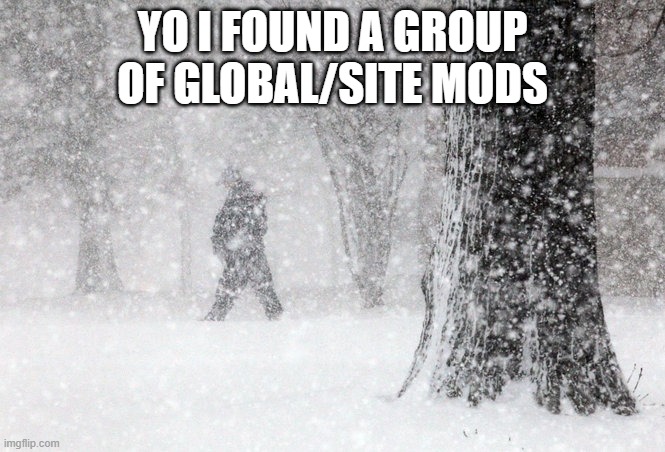 Snowstorm | YO I FOUND A GROUP OF GLOBAL/SITE MODS | image tagged in snowstorm | made w/ Imgflip meme maker