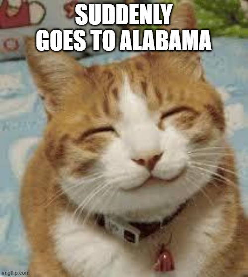 Happy cat | SUDDENLY GOES TO ALABAMA | image tagged in happy cat | made w/ Imgflip meme maker