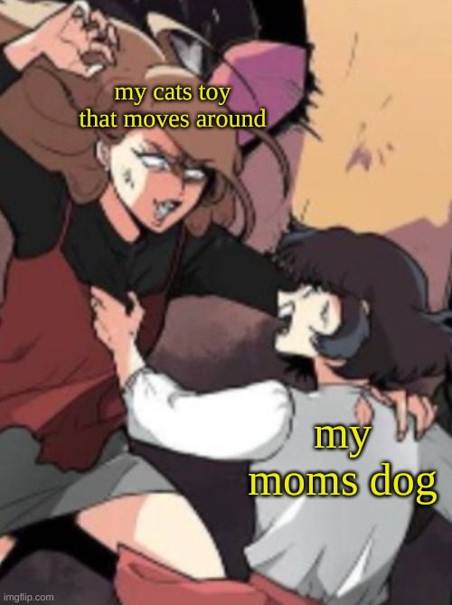 Attacking wemen lol | my cats toy that moves around; my moms dog | image tagged in attacking wemen lol | made w/ Imgflip meme maker