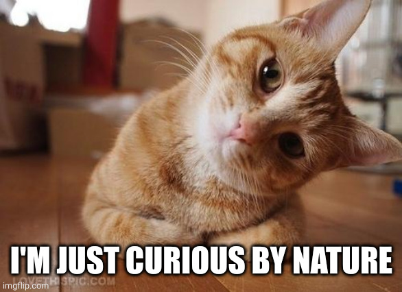 Curious Question Cat | I'M JUST CURIOUS BY NATURE | image tagged in curious question cat | made w/ Imgflip meme maker