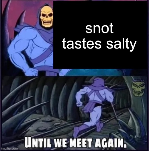 remember when this temp was over-spammed? | snot tastes salty | image tagged in until we meet again | made w/ Imgflip meme maker