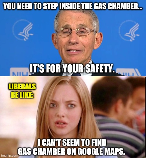 I bet some of ya would. | YOU NEED TO STEP INSIDE THE GAS CHAMBER... IT'S FOR YOUR SAFETY. LIBERALS BE LIKE:; I CAN'T SEEM TO FIND GAS CHAMBER ON GOOGLE MAPS. | image tagged in dr fauci,dumb blonde | made w/ Imgflip meme maker