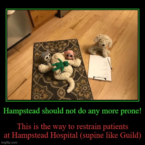 Hampstead restraint protocol | image tagged in funny,demotivationals | made w/ Imgflip demotivational maker