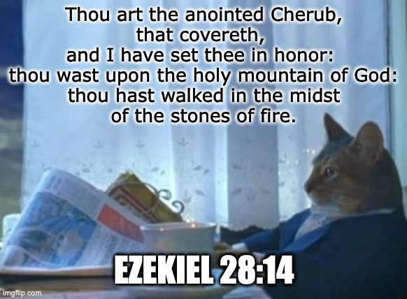 How to recognize an angel | Thou art the anointed Cherub, 
that covereth, 
and I have set thee in honor: 
thou wast upon the holy mountain of God:
 thou hast walked in the midst 
of the stones of fire. EZEKIEL 28:14 | image tagged in so true memes | made w/ Imgflip meme maker