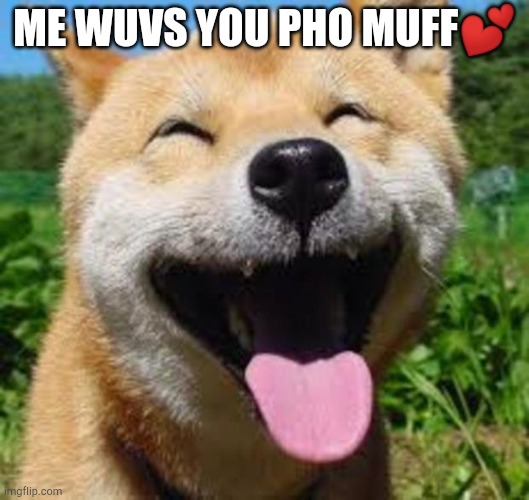 Happy Doge | ME WUVS YOU PHO MUFF💕 | image tagged in happy doge | made w/ Imgflip meme maker