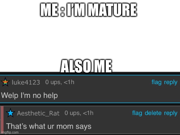 Bc you totally can’t see my user | ME : I’M MATURE; ALSO ME | image tagged in blank white template | made w/ Imgflip meme maker