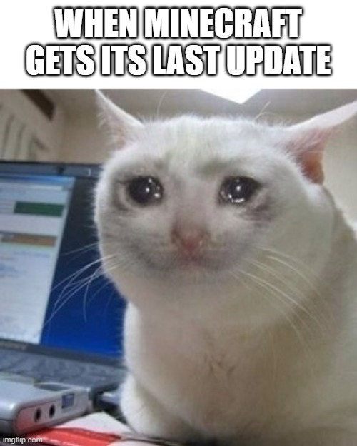 Crying cat | WHEN MINECRAFT GETS ITS LAST UPDATE | image tagged in crying cat | made w/ Imgflip meme maker