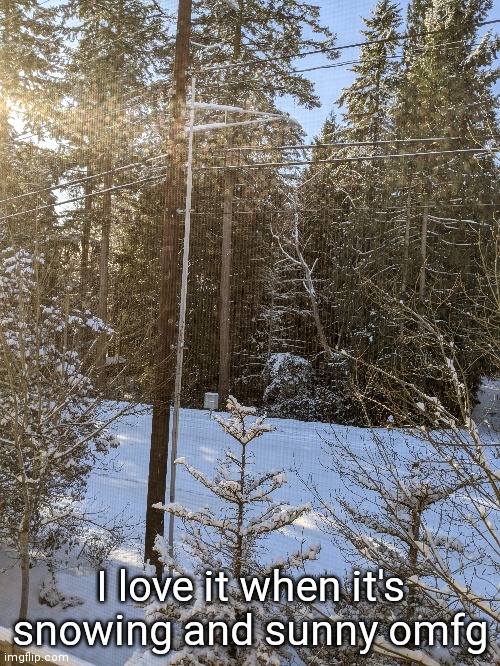 ITS SO PRETTY | I love it when it's snowing and sunny omfg | made w/ Imgflip meme maker