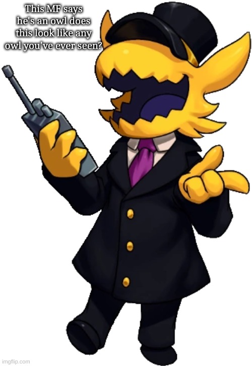 This MF says he's an owl does this look like any owl you've ever seen? | made w/ Imgflip meme maker