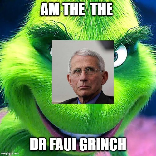 Mr Grinch | AM THE  THE; DR FAUI GRINCH | image tagged in mr grinch | made w/ Imgflip meme maker
