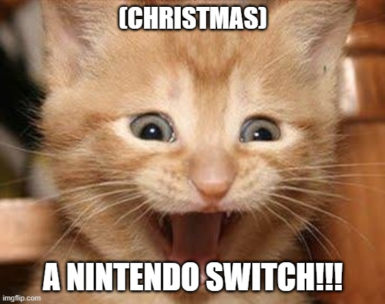 Excited Cat |  (CHRISTMAS); A NINTENDO SWITCH!!! | image tagged in memes,excited cat | made w/ Imgflip meme maker