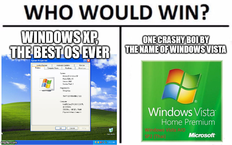 Who Would Win? | WINDOWS XP, THE BEST OS EVER; ONE CRASHY BOI BY THE NAME OF WINDOWS VISTA | image tagged in memes,who would win | made w/ Imgflip meme maker