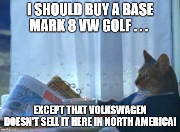 I Should Buy a Car Cat Mark 8 Golf | I SHOULD BUY A BASE MARK 8 VW GOLF . . . EXCEPT THAT VOLKSWAGEN DOESN'T SELL IT HERE IN NORTH AMERICA! | image tagged in memes,i should buy a car cat,vw golf,golf 8,bring the base mark 8 golf to north america | made w/ Imgflip meme maker