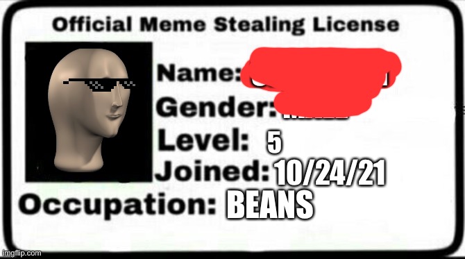 Yes, I officially got one and am now able to post in the repost section |  SEBASTIEN; MALE; 5; 10/24/21; BEANS | image tagged in meme stealing license,meme man,sunglasses | made w/ Imgflip meme maker