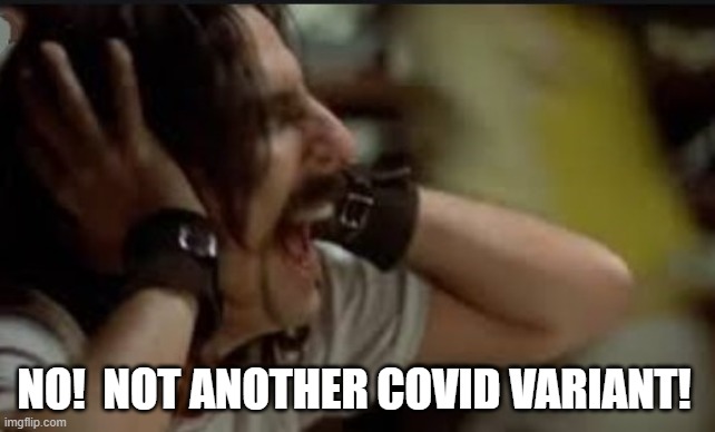 screaming Alice Cooper COVID | NO!  NOT ANOTHER COVID VARIANT! | image tagged in screaming alice cooper,covid variant | made w/ Imgflip meme maker
