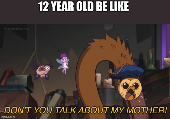 DON’T YOU TALK ABOUT MY MOTHER! | 12 YEAR OLD BE LIKE | image tagged in don t you talk about my mother | made w/ Imgflip meme maker