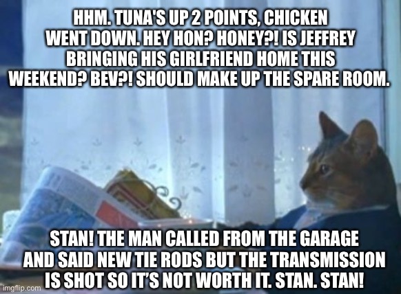 I Should Buy A Boat Cat Meme | HHM. TUNA'S UP 2 POINTS, CHICKEN WENT DOWN. HEY HON? HONEY?! IS JEFFREY BRINGING HIS GIRLFRIEND HOME THIS WEEKEND? BEV?! SHOULD MAKE UP THE SPARE ROOM. STAN! THE MAN CALLED FROM THE GARAGE AND SAID NEW TIE RODS BUT THE TRANSMISSION IS SHOT SO IT’S NOT WORTH IT. STAN. STAN! | image tagged in memes,i should buy a boat cat | made w/ Imgflip meme maker