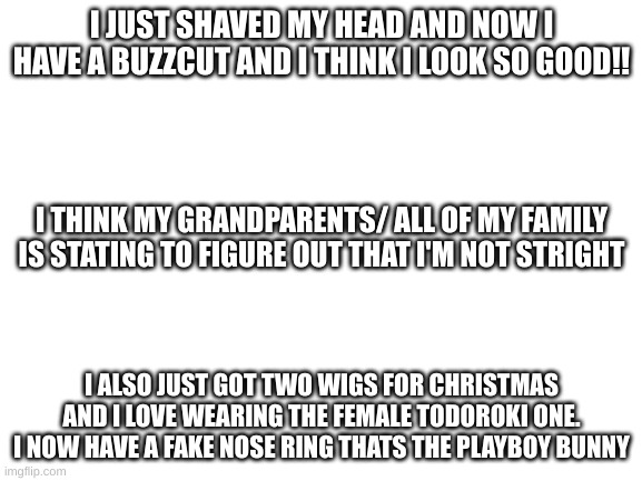 Just some stuff | I JUST SHAVED MY HEAD AND NOW I HAVE A BUZZCUT AND I THINK I LOOK SO GOOD!! I THINK MY GRANDPARENTS/ ALL OF MY FAMILY IS STATING TO FIGURE OUT THAT I'M NOT STRIGHT; I ALSO JUST GOT TWO WIGS FOR CHRISTMAS AND I LOVE WEARING THE FEMALE TODOROKI ONE. I NOW HAVE A FAKE NOSE RING THATS THE PLAYBOY BUNNY | image tagged in blank white template | made w/ Imgflip meme maker