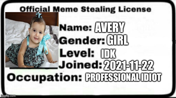 Meme Stealing License | AVERY; GIRL; IDK; 2021-11-22; PROFESSIONAL IDIOT | image tagged in meme stealing license | made w/ Imgflip meme maker