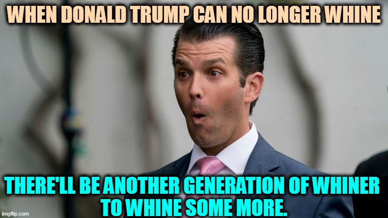 Donald Trump Jr. sucks | WHEN DONALD TRUMP CAN NO LONGER WHINE; THERE'LL BE ANOTHER GENERATION OF WHINER 
TO WHINE SOME MORE. | image tagged in donald trump jr sucks,trump,whine,family,whiners | made w/ Imgflip meme maker
