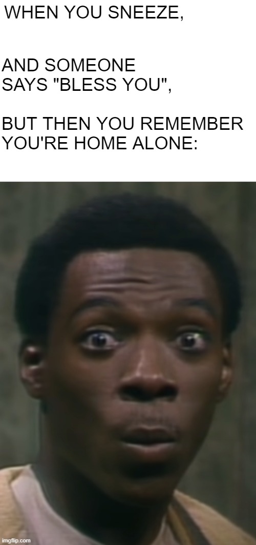 Oh no |  WHEN YOU SNEEZE, AND SOMEONE SAYS "BLESS YOU", BUT THEN YOU REMEMBER YOU'RE HOME ALONE: | image tagged in mr robinson face,eddie murphy,surprised,face,oh no,reincarnation | made w/ Imgflip meme maker