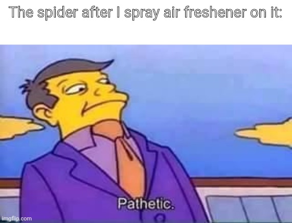 ? | The spider after I spray air freshener on it: | image tagged in skinner pathetic | made w/ Imgflip meme maker