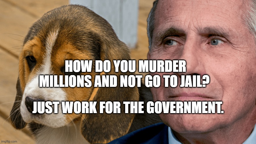 Fauci's Ouchie | HOW DO YOU MURDER MILLIONS AND NOT GO TO JAIL? JUST WORK FOR THE GOVERNMENT. | image tagged in fauci's ouchie | made w/ Imgflip meme maker