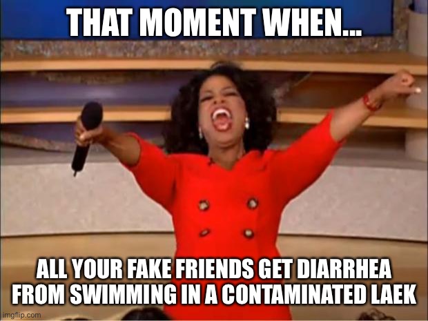 ? | THAT MOMENT WHEN... ALL YOUR FAKE FRIENDS GET DIARRHEA FROM SWIMMING IN A CONTAMINATED LAKE | image tagged in memes,oprah you get a | made w/ Imgflip meme maker