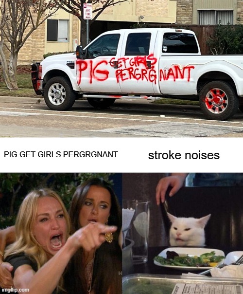 PIG GET GIRLS PERGRGNANT; stroke noises | image tagged in memes,woman yelling at cat,meme | made w/ Imgflip meme maker