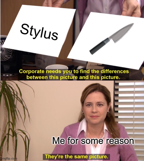 They're The Same Picture | Stylus; Me for some reason | image tagged in memes,they're the same picture | made w/ Imgflip meme maker
