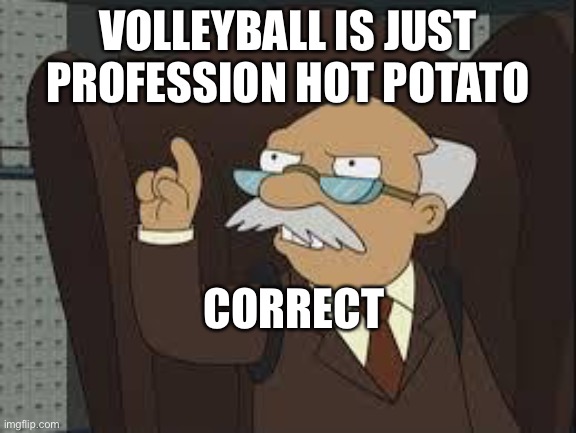 Technically not wrong | VOLLEYBALL IS JUST PROFESSION HOT POTATO; CORRECT | image tagged in technically correct,can't argue with that / technically not wrong | made w/ Imgflip meme maker