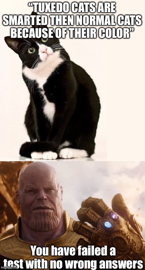 You have failed a test with no wrong answers | “TUXEDO CATS ARE SMARTED THEN NORMAL CATS BECAUSE OF THEIR COLOR”; You have failed a test with no wrong answers | image tagged in tuxedo cat,thanos smile,thanos snap | made w/ Imgflip meme maker