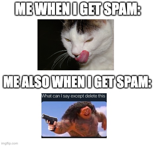 spamspamspam | ME WHEN I GET SPAM:; ME ALSO WHEN I GET SPAM: | image tagged in blank white template | made w/ Imgflip meme maker