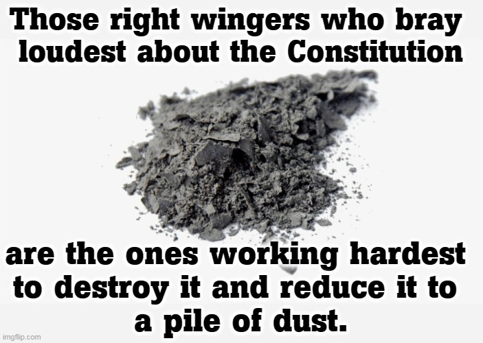 Trump lost. Deal with it. | Those right wingers who bray 
loudest about the Constitution; are the ones working hardest 
to destroy it and reduce it to 
a pile of dust. | image tagged in gop,republicans,hate,destroy,constitution | made w/ Imgflip meme maker