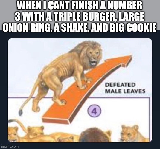 WHEN I CANT FINISH A NUMBER 3 WITH A TRIPLE BURGER, LARGE ONION RING, A SHAKE, AND BIG COOKIE | made w/ Imgflip meme maker