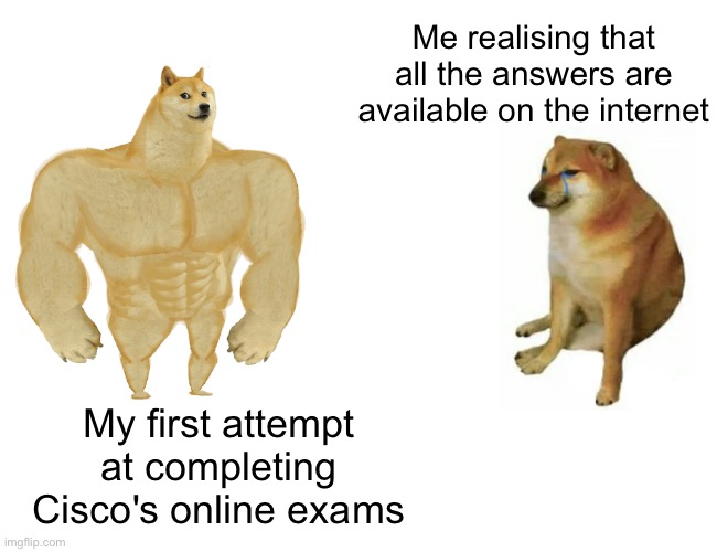 It's better without assessment anyway | Me realising that all the answers are available on the internet; My first attempt at completing Cisco's online exams | image tagged in buff doge vs cheems,computers/electronics,exams,cyber monday | made w/ Imgflip meme maker
