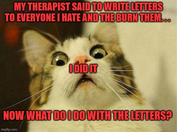Scared Cat | MY THERAPIST SAID TO WRITE LETTERS TO EVERYONE I HATE AND THE BURN THEM. . . I DID IT; NOW WHAT DO I DO WITH THE LETTERS? | image tagged in memes,scared cat | made w/ Imgflip meme maker