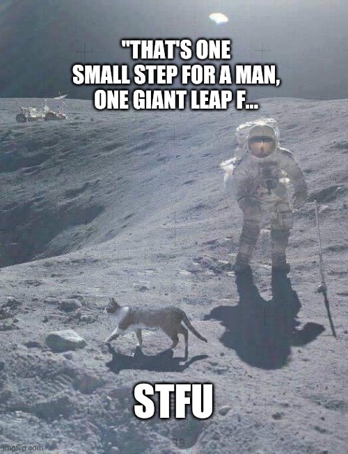 That's one small step for a man | "THAT'S ONE SMALL STEP FOR A MAN, ONE GIANT LEAP F... STFU | image tagged in cat on the moon | made w/ Imgflip meme maker