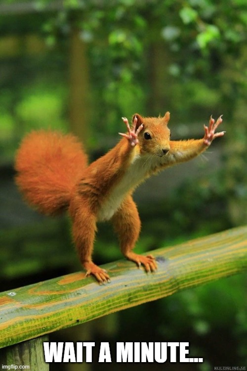 Wait a Minute Squirrel | WAIT A MINUTE... | image tagged in wait a minute squirrel | made w/ Imgflip meme maker