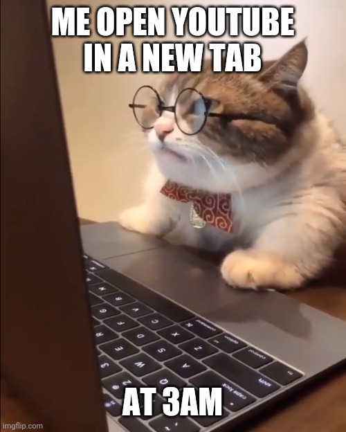 Youtube Tab | ME OPEN YOUTUBE IN A NEW TAB; AT 3AM | image tagged in research cat | made w/ Imgflip meme maker