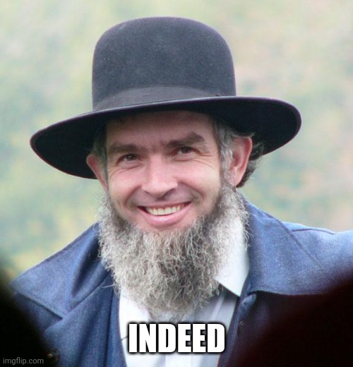Amish | INDEED | image tagged in amish | made w/ Imgflip meme maker
