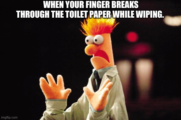 Beaker Freak Out | WHEN YOUR FINGER BREAKS THROUGH THE TOILET PAPER WHILE WIPING. | image tagged in beaker freak out | made w/ Imgflip meme maker