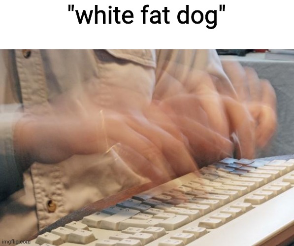 Typing Fast | "white fat dog" | image tagged in typing fast | made w/ Imgflip meme maker