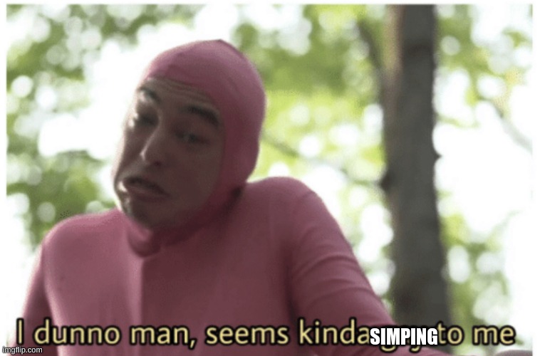 Idk man seems kinda gay | SIMPING | image tagged in idk man seems kinda gay | made w/ Imgflip meme maker