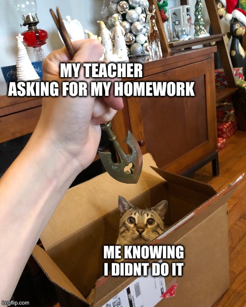 You know you messed up | MY TEACHER ASKING FOR MY HOMEWORK; ME KNOWING I DIDNT DO IT | image tagged in cat,jojo's bizarre adventure,arrows,funny,relatable | made w/ Imgflip meme maker