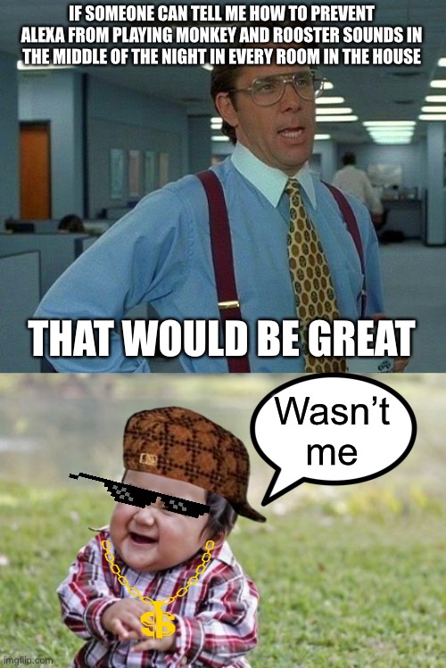 IF SOMEONE CAN TELL ME HOW TO PREVENT ALEXA FROM PLAYING MONKEY AND ROOSTER SOUNDS IN THE MIDDLE OF THE NIGHT IN EVERY ROOM IN THE HOUSE; THAT WOULD BE GREAT; Wasn’t me | image tagged in memes,that would be great,evil toddler | made w/ Imgflip meme maker