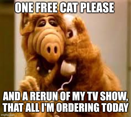 Alf |  ONE FREE CAT PLEASE; AND A RERUN OF MY TV SHOW, THAT ALL I'M ORDERING TODAY | image tagged in alf | made w/ Imgflip meme maker