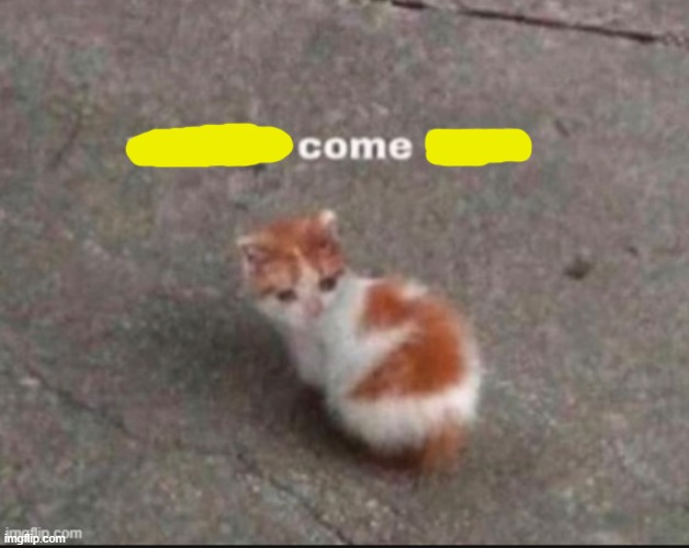 wait no come back | image tagged in wait no come back | made w/ Imgflip meme maker